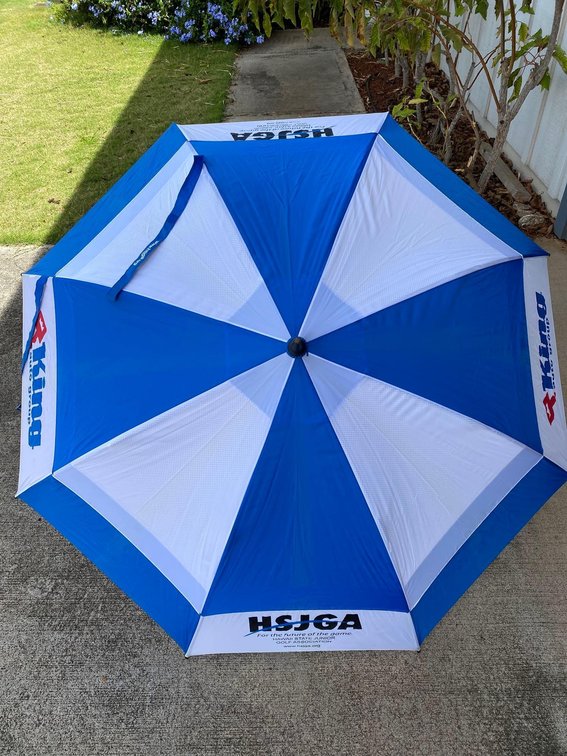 Blue and White King Auto Group Umbrella 