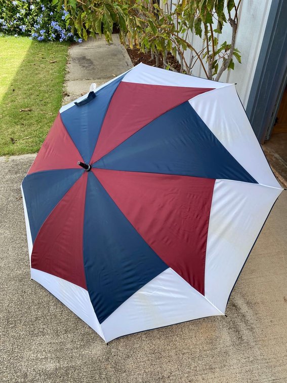 Red White and Blue Umbrella 