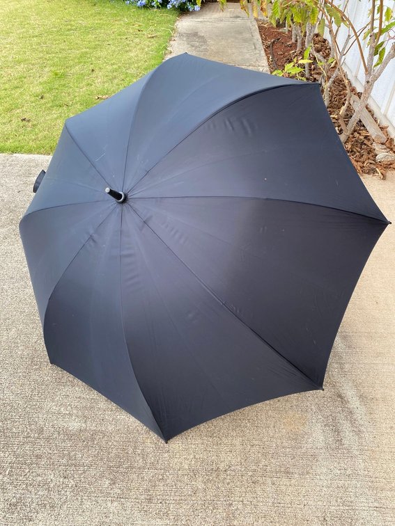 Black Umbrella 