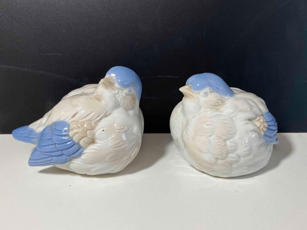White with Blue Birds