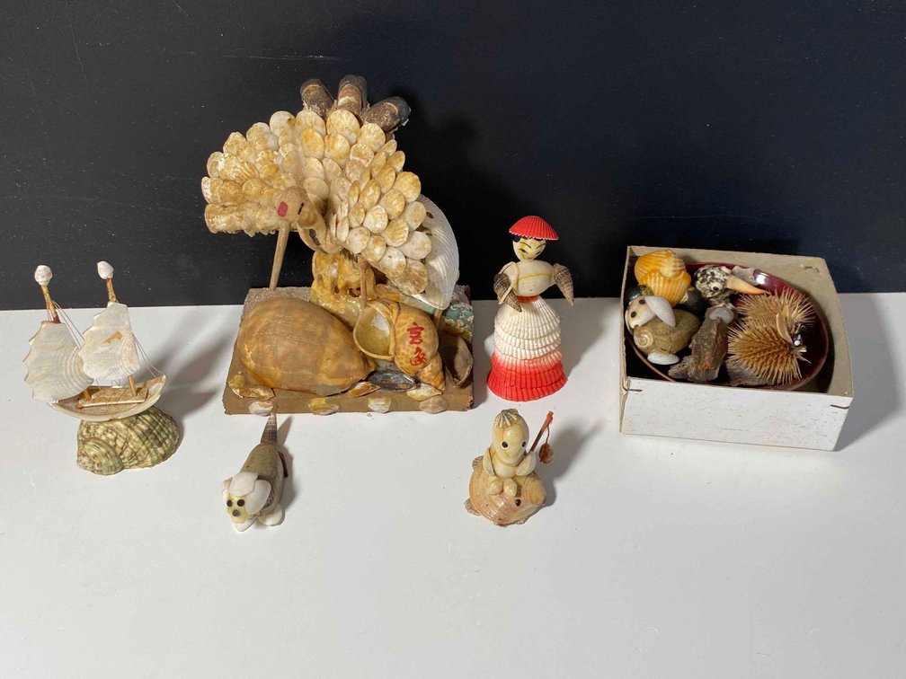 Variety of Decorative Items Made of Shells