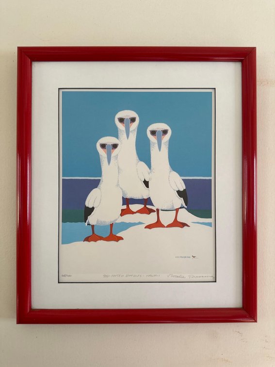 Red footed boobies – Hawaii by Rosalie Prussing