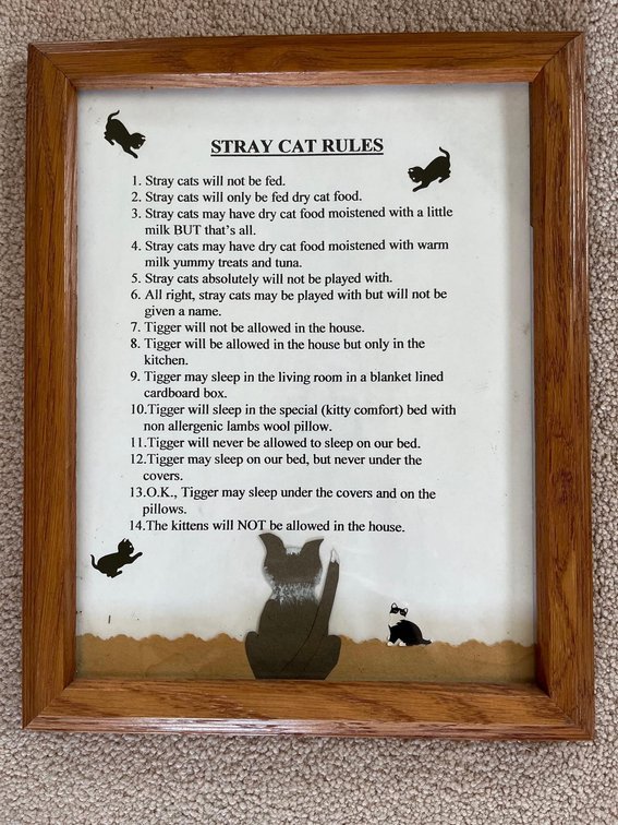 stray cat rules wall hanging