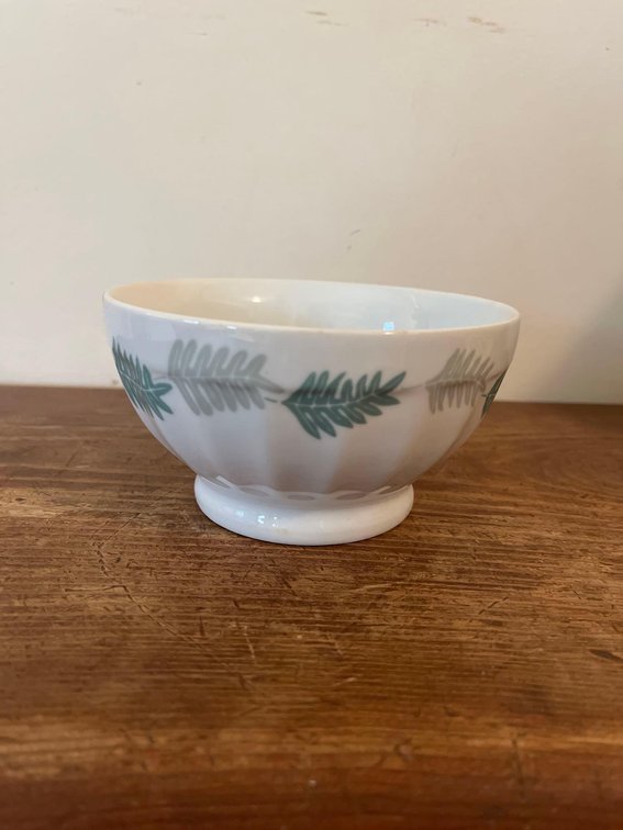 Fern design, plate ware bowl