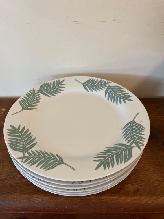 (X’s 6) cordon bleu fern dinner plates