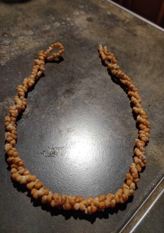 Island Sea Shells Necklace 