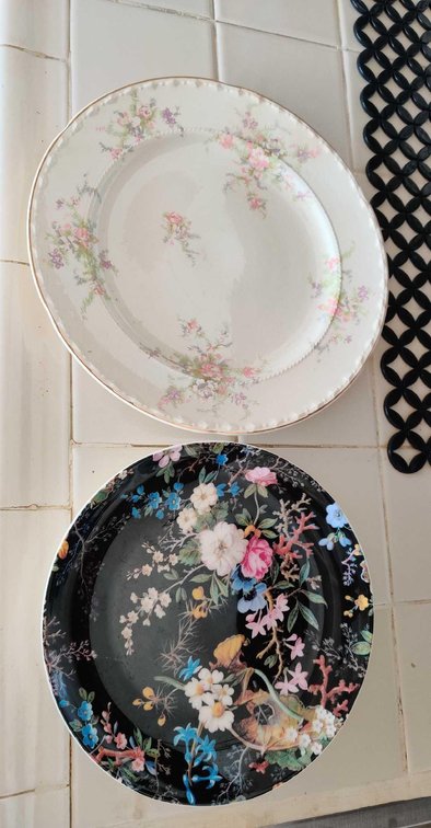 x2 Beautiful Flower Design Dinner Plates 