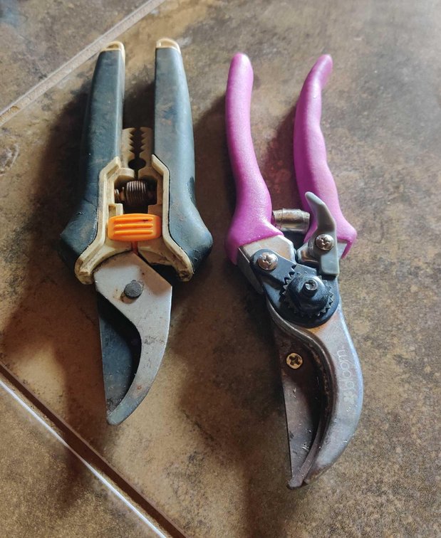 x2 Gardening Clippers 