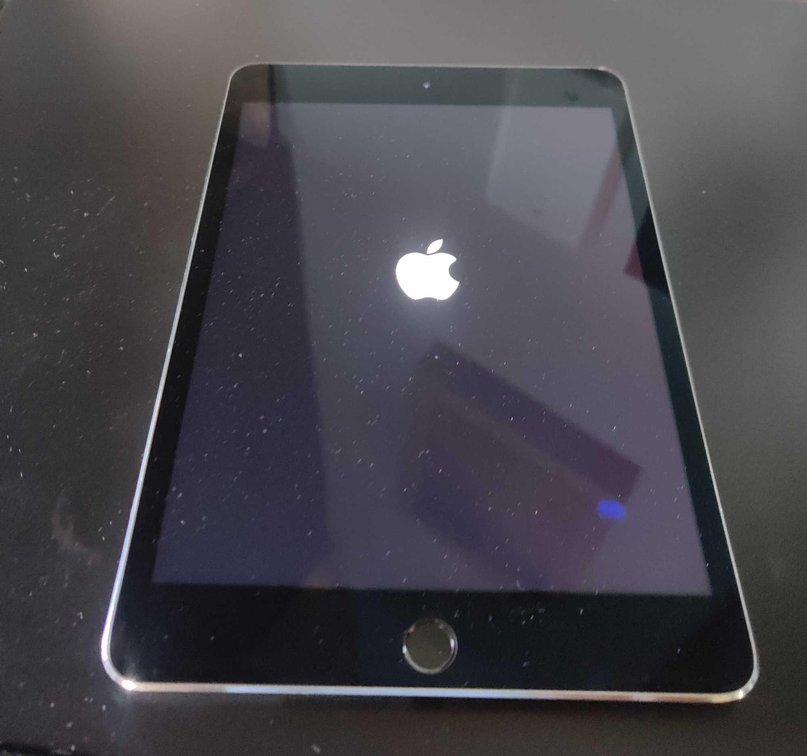 iPad mini 4