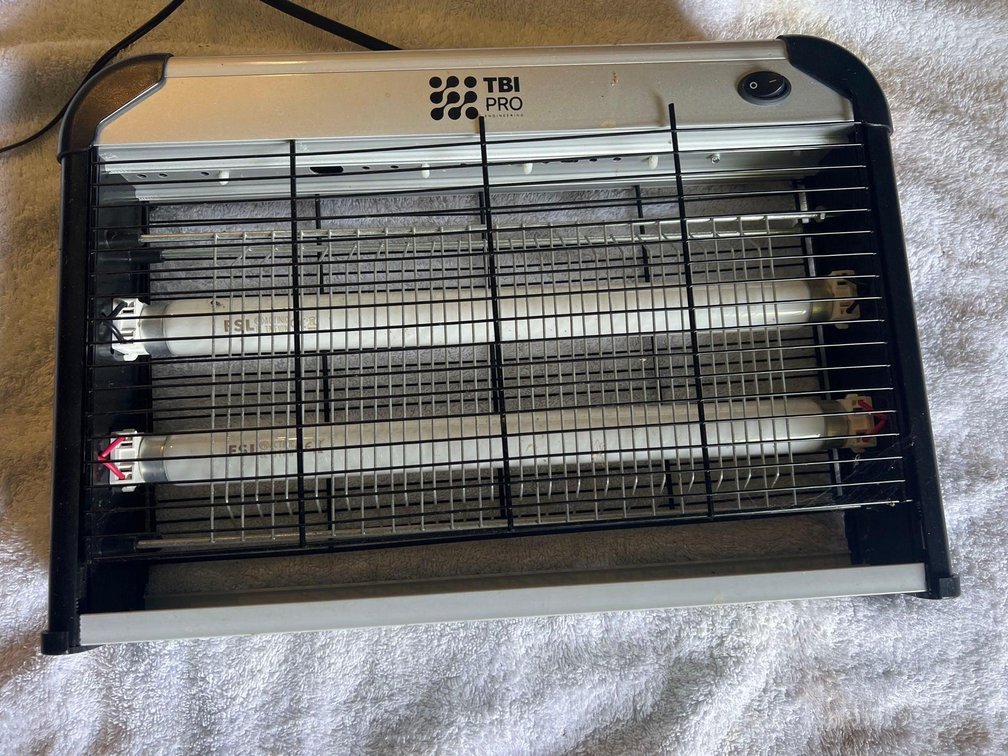 Bug Zapper