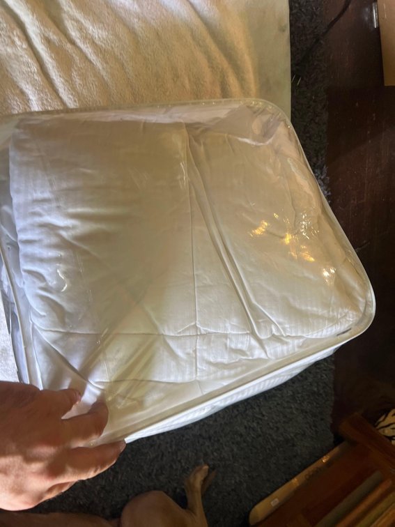 Brand New Down Mattress Cover/ Cushion queen/full