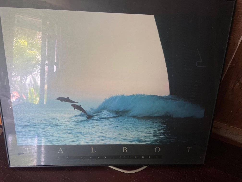 TALBOT "Original Framed Whale Print" RARE