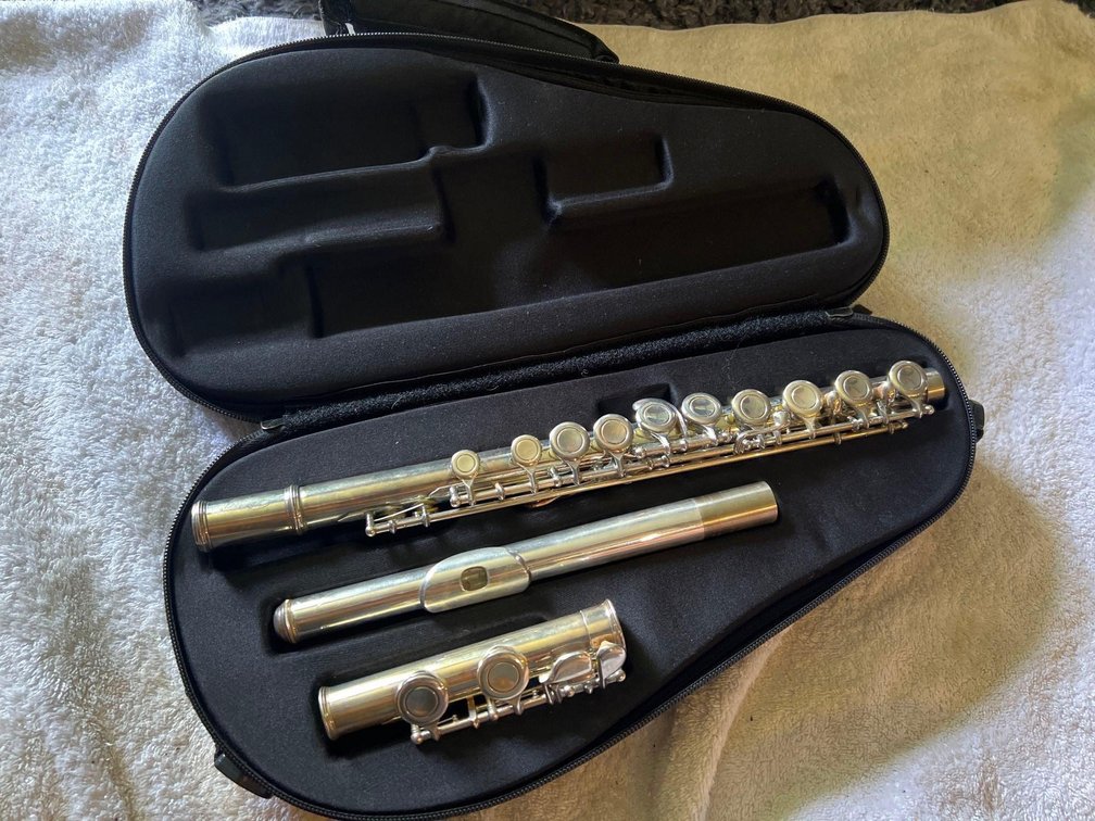 Borgg Flute with case! like new