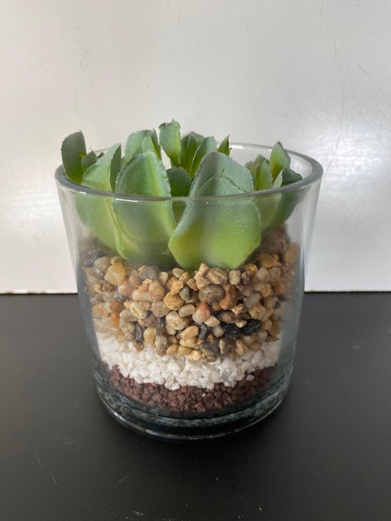 Artificial Succulent Layered Soil Decor Piece 