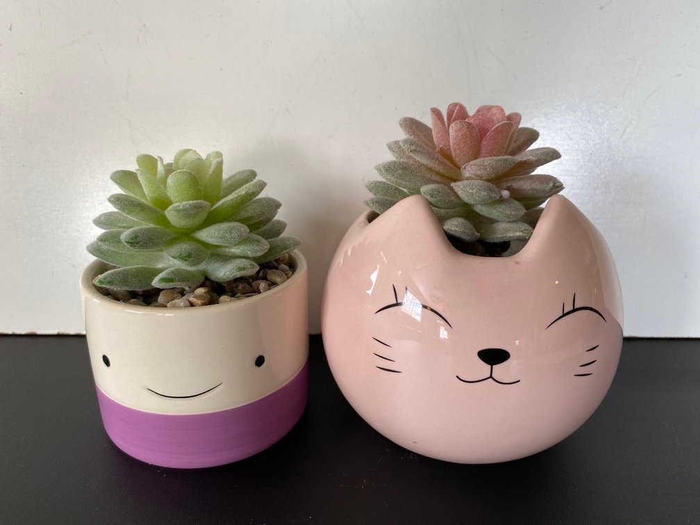 (X's 2) Artificial Succulent Plants in Cat and Smiley Face Decor Pots 