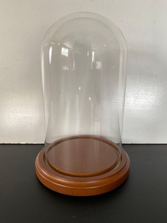 7 1/2" Tall Dome Glass Case 