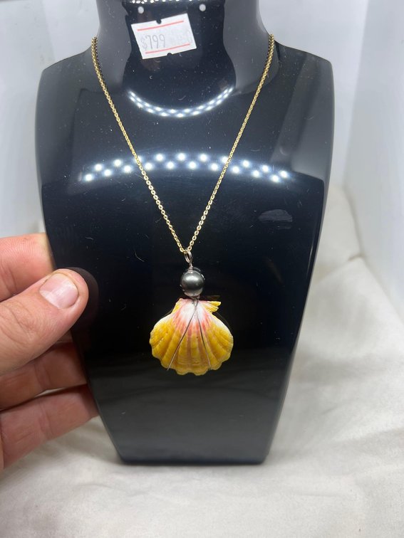 14k GOLD AA Tahitian Pearl & Kauai Found Sunrise with 14k gold Rope chain
