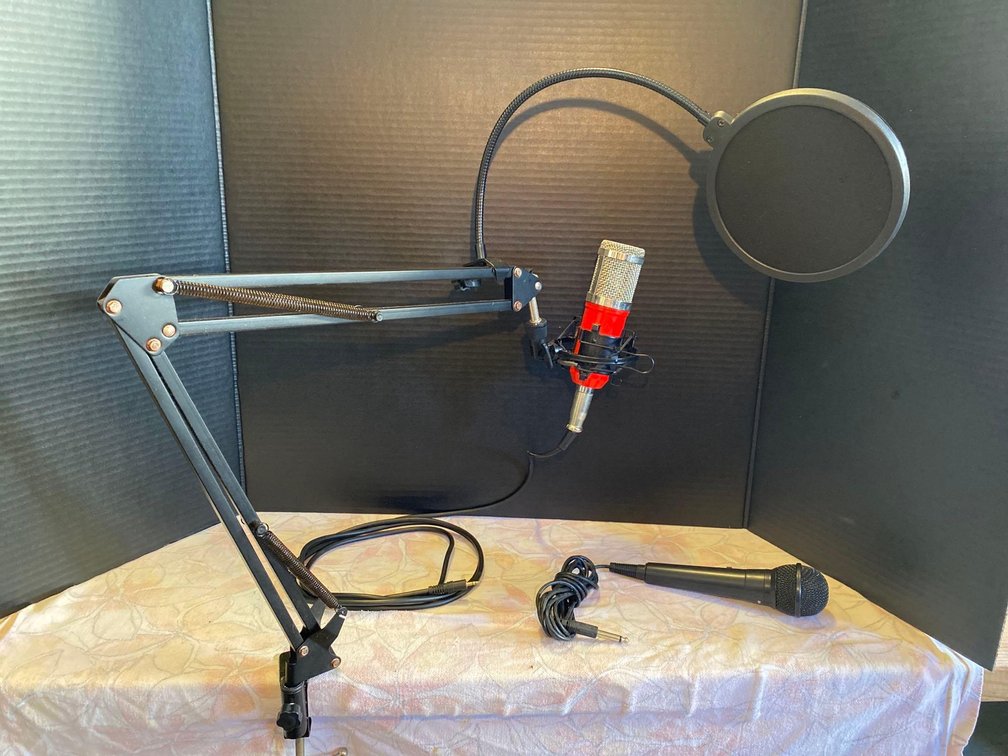 Microphones and Accessories 