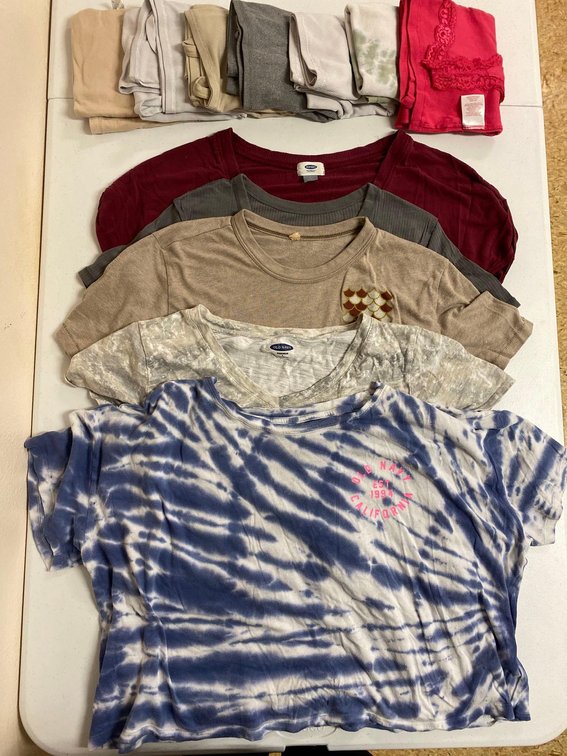 Basic Tanks and Tees - L and XL - Women's