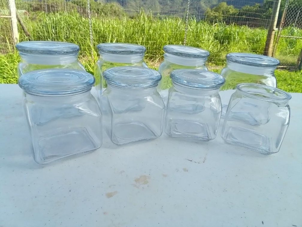Glass Jars