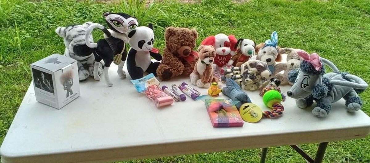 Kids and Pet Toys 