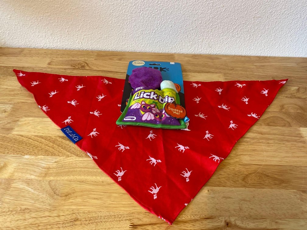NEW Squeaky Dog Toy & Pet Scarf