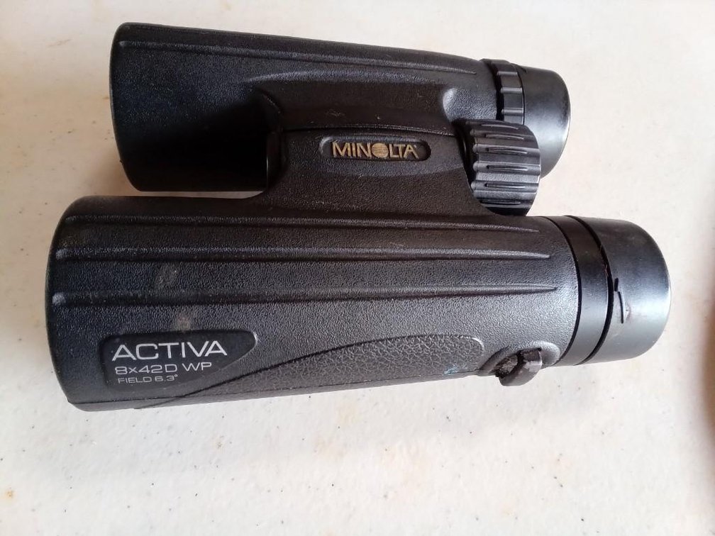 Minolta Activa Binoculars 8* 42D WP Binoculars
