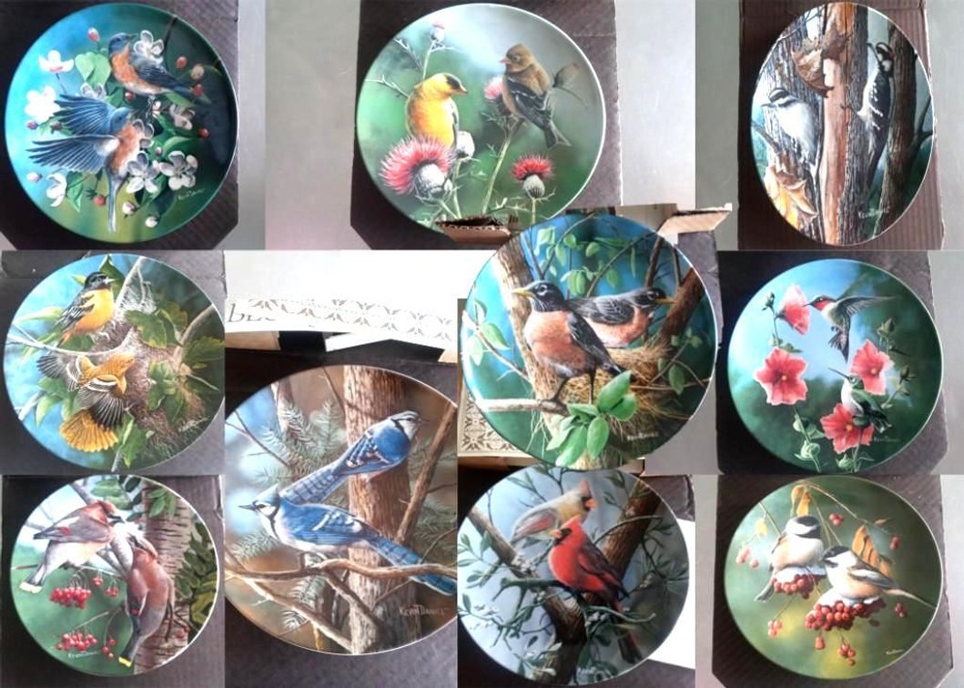 BEAUTIFUL BIRDS plates (10) by ​​​​​​​Kevin Daniels 