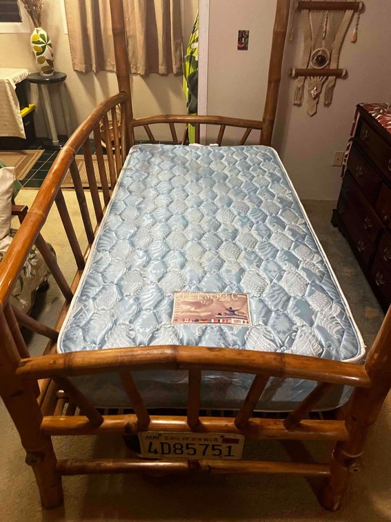 Bamboo canopy bed frame and mattress 