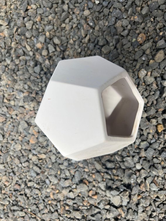 12 sided pot