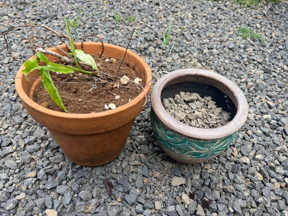 2 pots