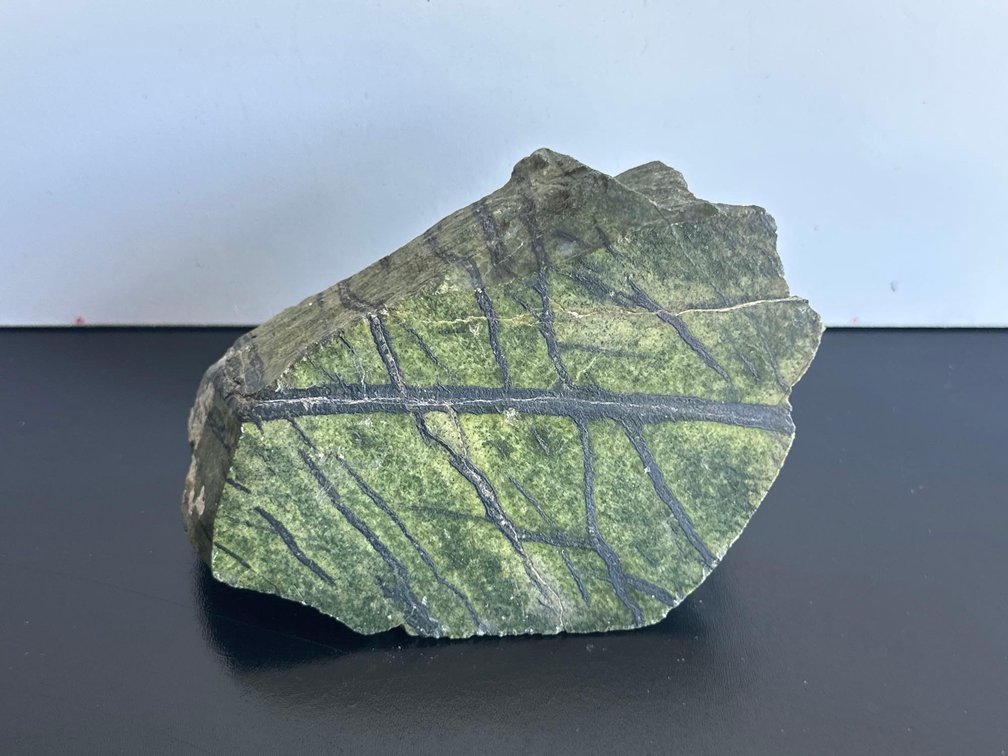 6" Piece of Serpentine Stone