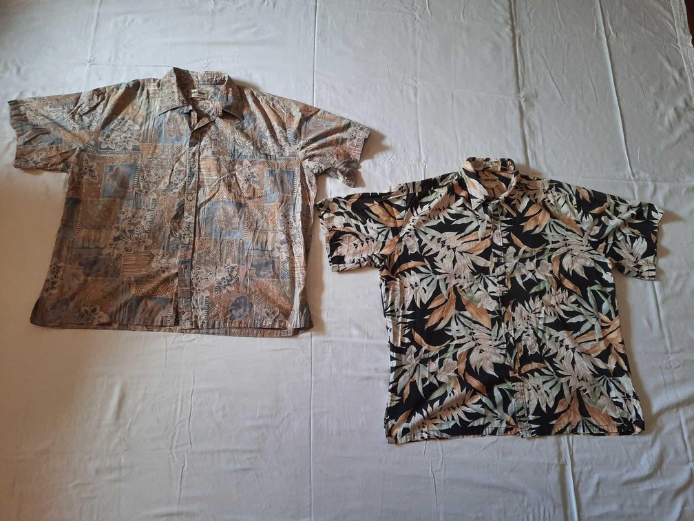 Two Cooke Street Aloha Shirts Size: XLarge