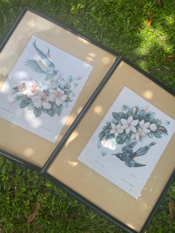 Vintage Pair of Hawaiian Nature Watercolors by Berger