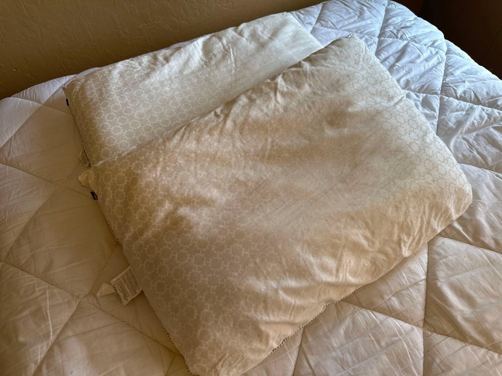 Two Bed Pillows 