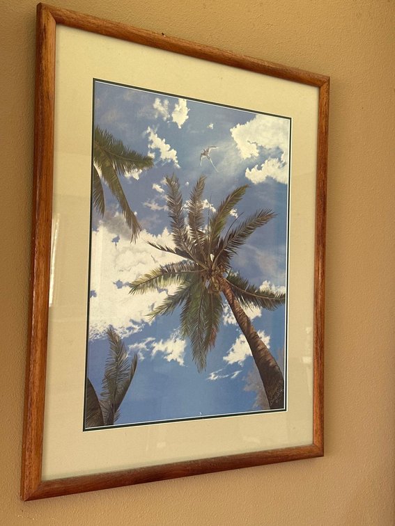 Wood Framed Christian R. Signed Blue Sky Coconut Tree Print 