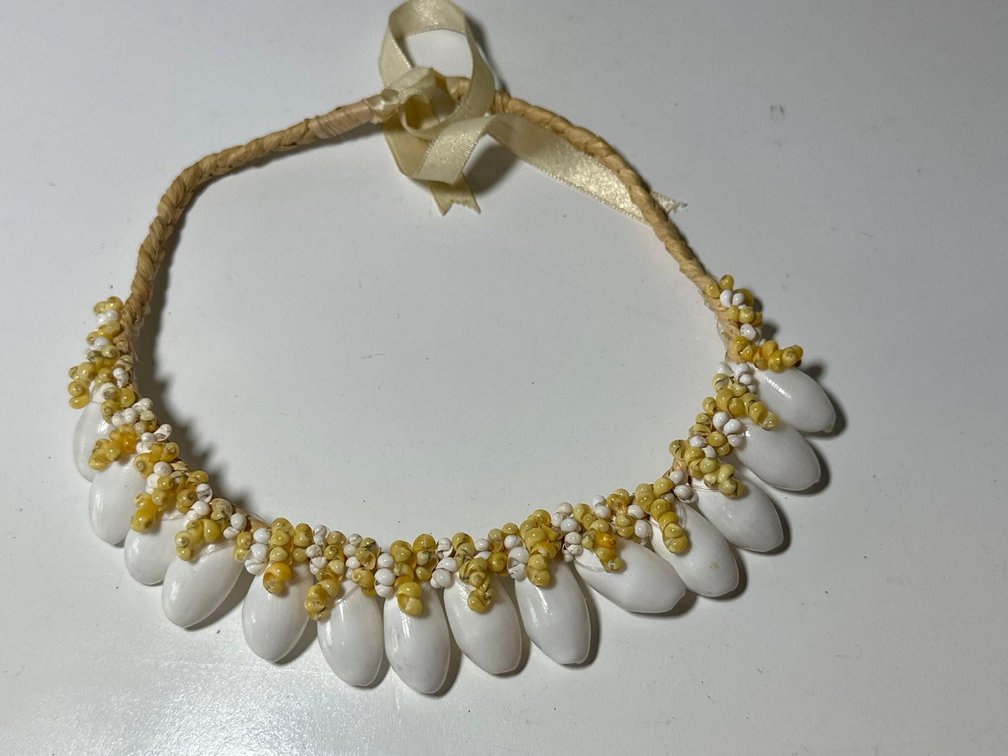 Pucka Shell Choker Ribbon Necklace
