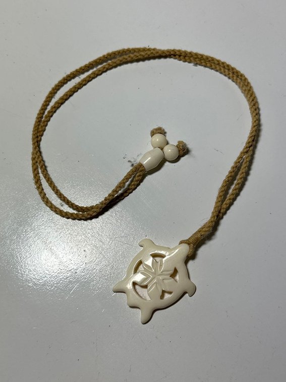 Bone Carved Turtle Pendant on Braided Necklace