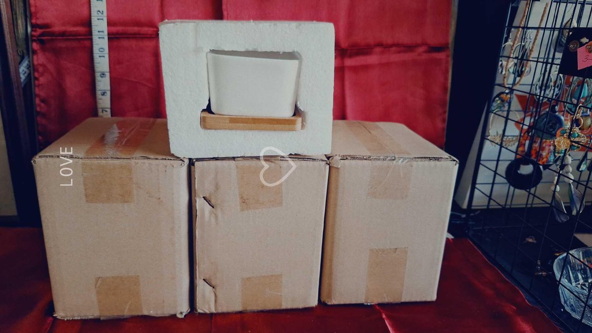 (x4)Plant Holders
