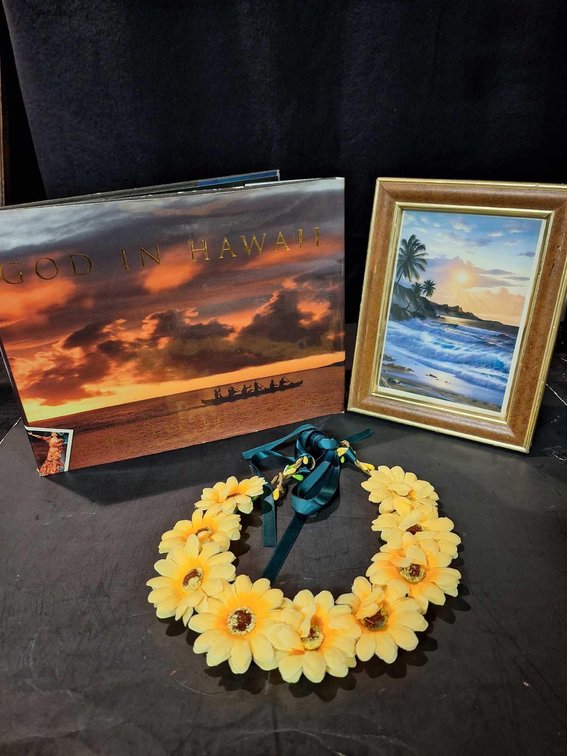 New Hope, God in Hawaii picture book