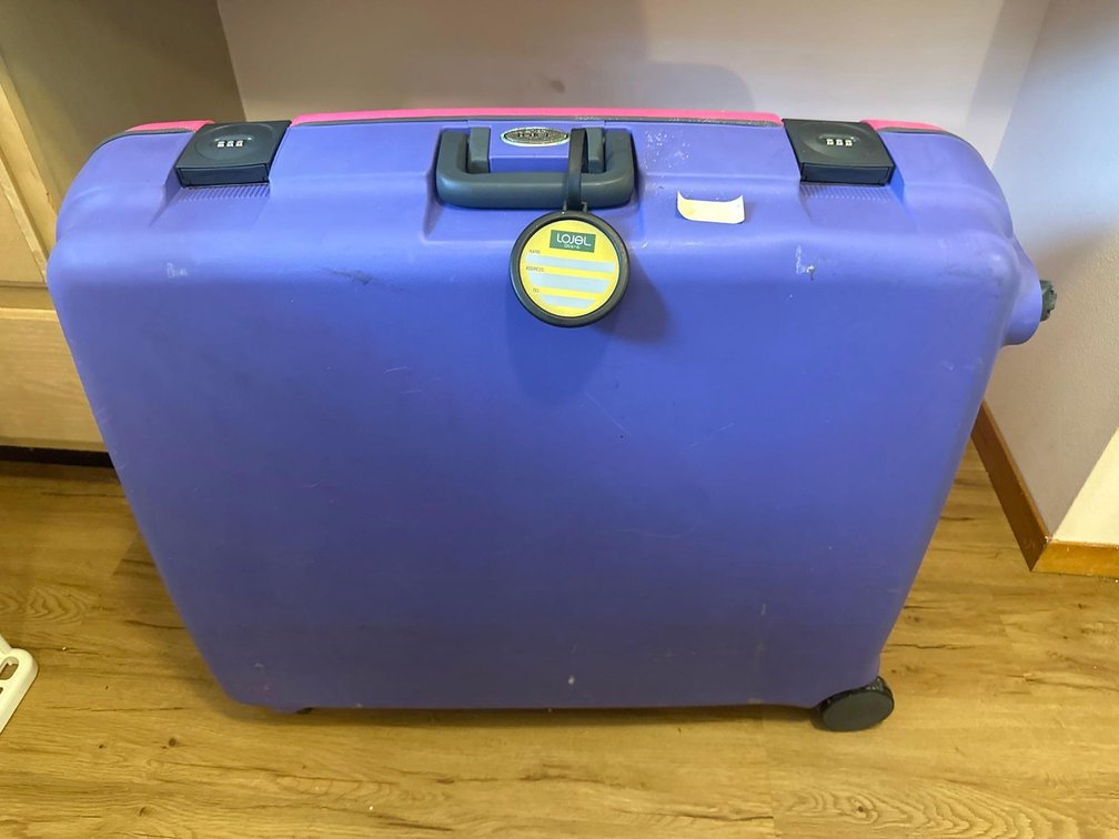 Pink Purple Travel Suitcase with Compact Hangers and Bag Strap