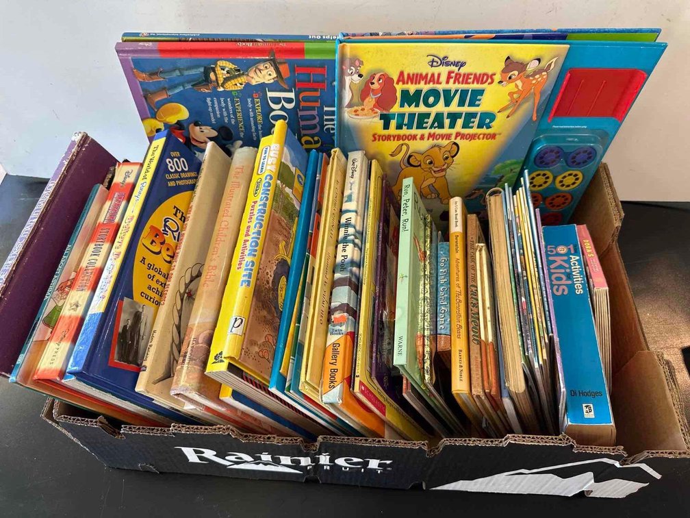 Mixed Lot of Children Books