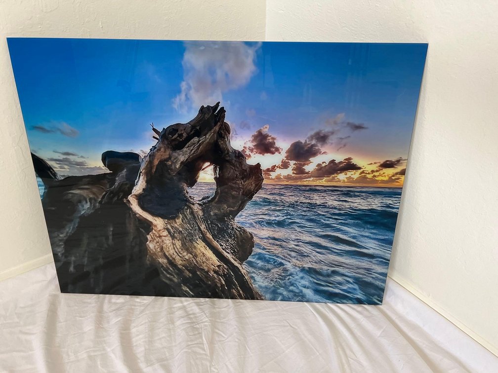 29”x22” Glass Photo Art Print