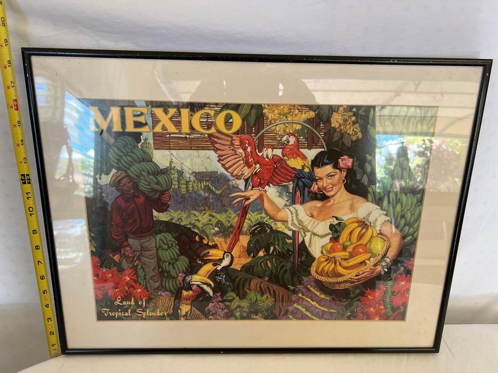 Framed Mexico Poster