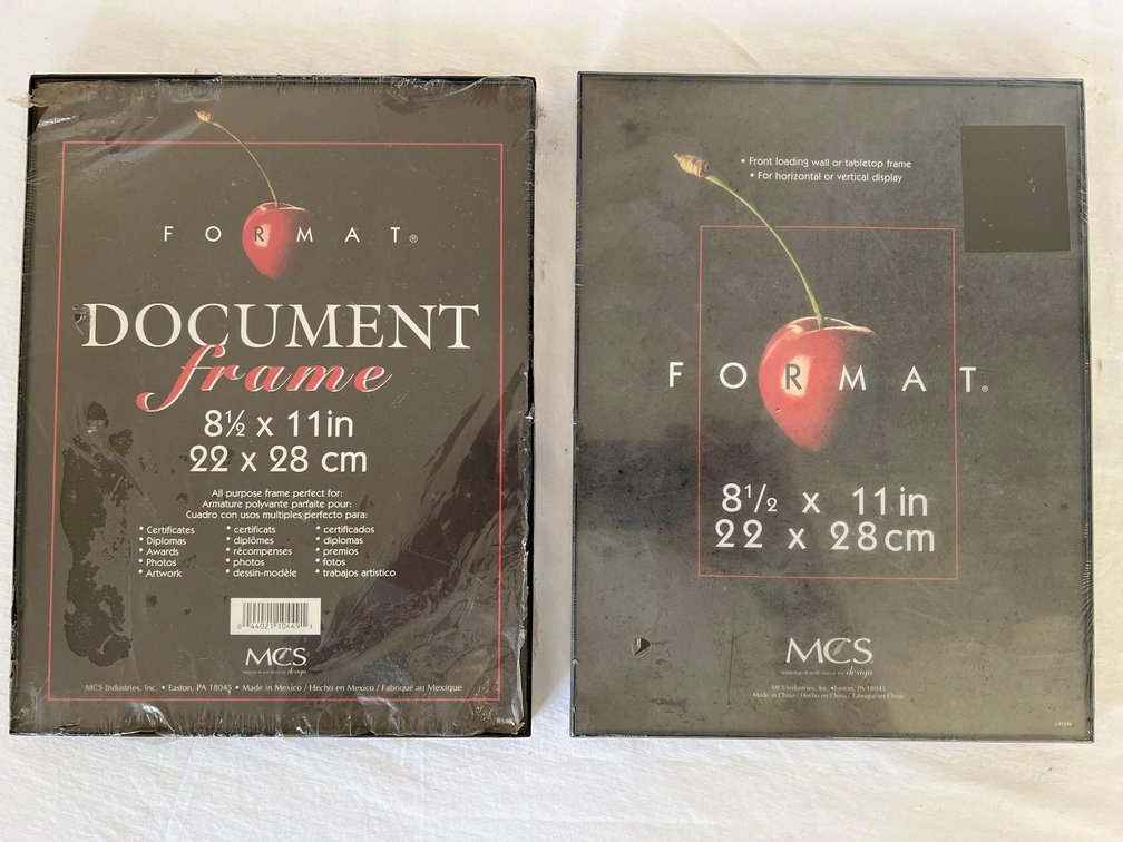 (X's2) Plastic Frames 