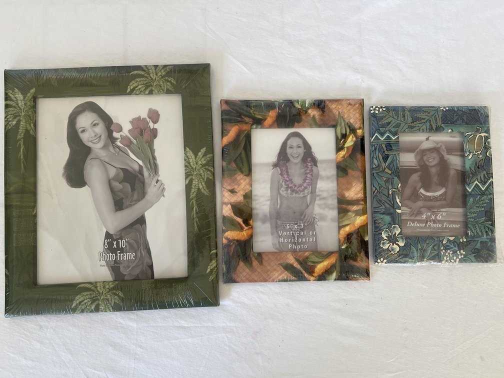 Tropical Themed Frames 