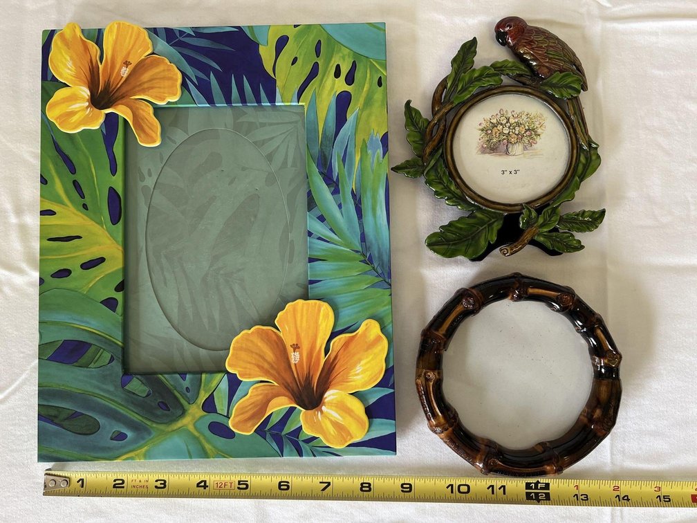 Tropical Frames