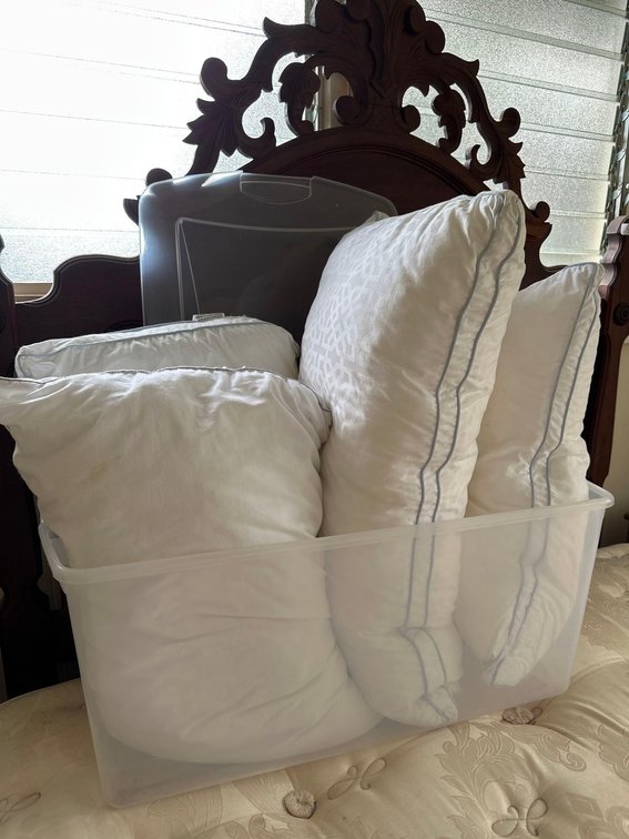 Mixed Bed Pillows in Clear Plastic Bin with Lid 