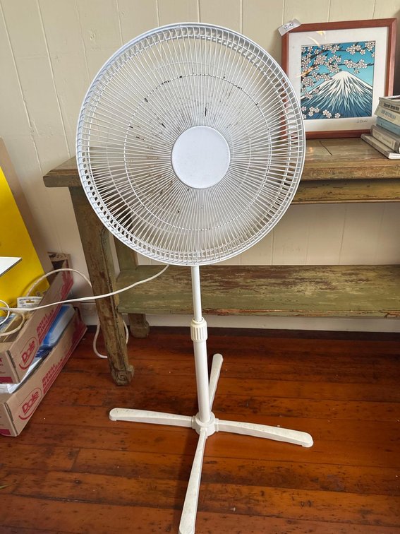 White Stand Up Fan