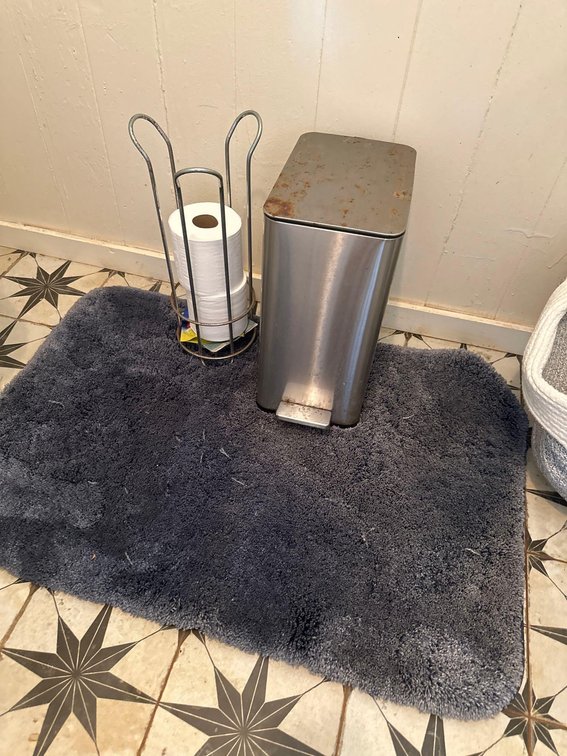 Bathroom Shaggy Rug, Waste Basket and Toilet Paper Holder